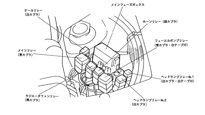 画像:Relayea11r.jpg